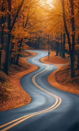 a winding road winds through an autumn park