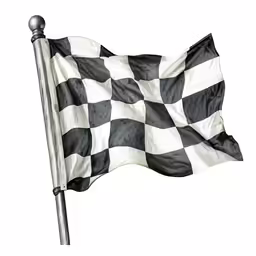 an image of the checkered flag on a pole