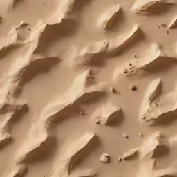 a view of a sandy area with little footprints