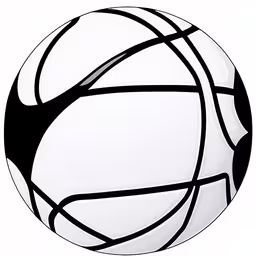a basketball with lines drawn on the inside,a basketball ball with white lines on it,a close - up of a basketball on a white background,a round black and white basketball with an intertwined wire around the rim,the basketball is black and white and has a ball shaped pattern