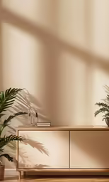 a large cabinet sits on a wood floor next to two green plants