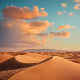 a picture of the desert with no grass