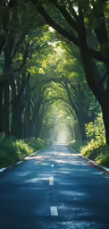 the view of an open street leading to a row of trees