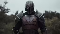the elder knight in a full suit