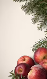 apples and pine branch displayed with white background