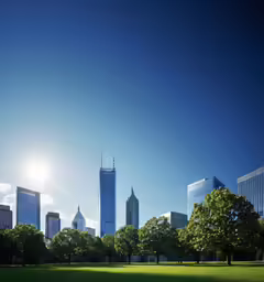 a field in front of some skyscrapers on a sunny day