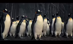 an image of many penguins that are standing together