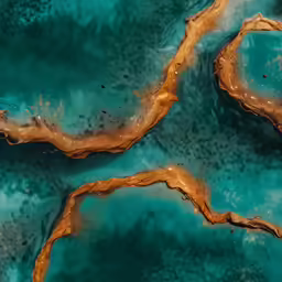 a photo of water from the air with a couple different sections of gold in it
