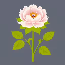the pink flower is on a green stem with leaves,a drawing of a single peony flower on gray background,a pink and white flower with green leaves on the stem,a pink flower with leaves on a gray background,the flower is on the stem and has two green leaves