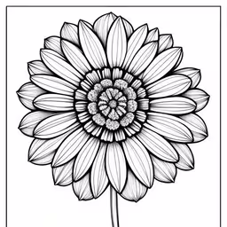 a drawing of a flower with black and white outline,a large flower that is drawn in a white background,a large black and white sunflower on a white background,a black and white flower on a white background,a flower drawing in ink with a picture frame