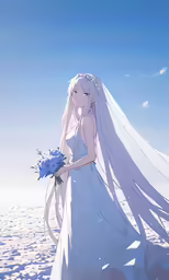 a bride with her long white veil on