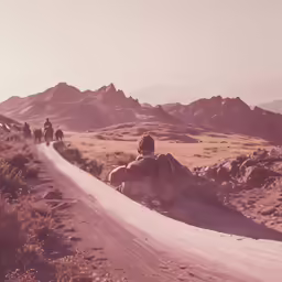 four people are riding horses down the trail