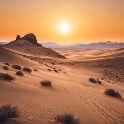 the sun sets over a desert with sand dunes and trees