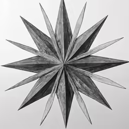 the shape of a star made with multiple leaves
