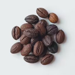 nuts are scattered around the nut shell of a coffee bean