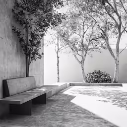 a couple of benches that are next to trees