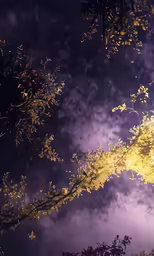 the sky looks very dark purple and yellow