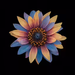 the center of a large flower with petals