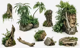 a collection of rocks and plants on a white background