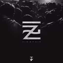 a poster with the letter z on it