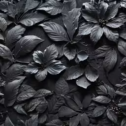 this is a very large group of flowers
