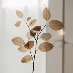 a leafy tree branch is on a table in front of a window