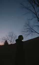 man wearing hooded coat on grassy hill at dusk