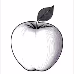 an apple with leaves on it sitting in a box,a black and white drawing of an apple