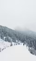 there is a man that is skiing down the hill