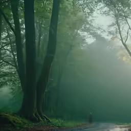 a man standing in the middle of a road near some trees