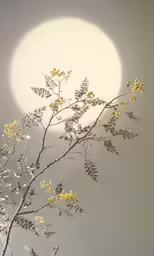 a tree branch with yellow leaves is in front of a huge moon