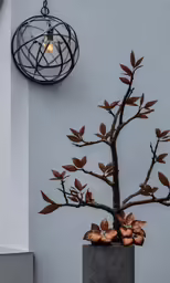 the small tree is in a pot with two lights on