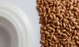 a bunch of nuts is laying beside a bowl