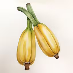two bananas hanging down with their stems still attached,two bananas are hanging from a tree