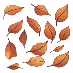 different leaves on a white background