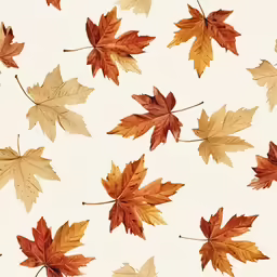 the colorful leaves in different patterns is shown