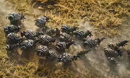 an aerial view of a herd of zebras