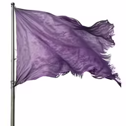 a purple flag that is next to a pole