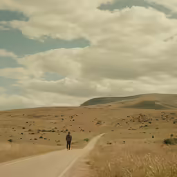 a person walks along the side of a rural road