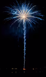 the fireworks are shining brightly against the black sky