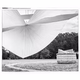 a large white object is in the middle of some grass