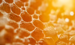 the image of bees and honey is captured from the bottom of honeycombs