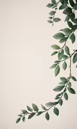a green plant hanging from the side of a white wall