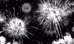 black and white fireworks with lots of sparks