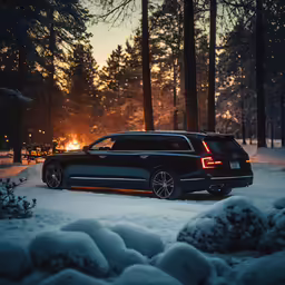 a car parked in the snow next to trees
