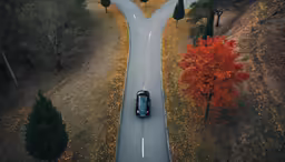 a road with trees and some cars moving on one side