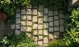 aerial view of stepping stones and plants in backyard