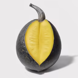 a black and yellow squash sitting in the middle of a white background