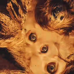 an extremely creepy stuffed animal with large brown eyes