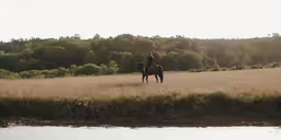 a man riding a horse in an open field